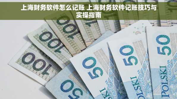 上海财务软件怎么记账 上海财务软件记账技巧与实操指南