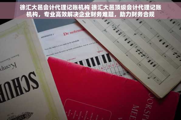 徐汇大邑会计代理记账机构 徐汇大邑顶级会计代理记账机构，专业高效解决企业财务难题，助力财务合规
