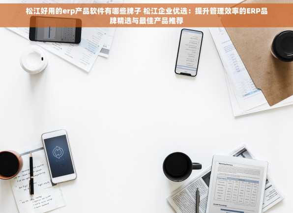 松江好用的erp产品软件有哪些牌子 松江企业优选：提升管理效率的ERP品牌精选与最佳产品推荐
