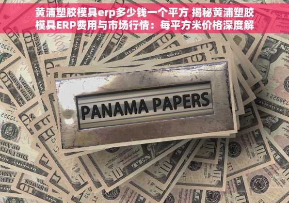 黄浦塑胶模具erp多少钱一个平方 揭秘黄浦塑胶模具ERP费用与市场行情：每平方米价格深度解析