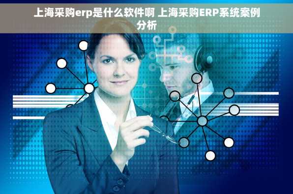 上海采购erp是什么软件啊 上海采购ERP系统案例分析