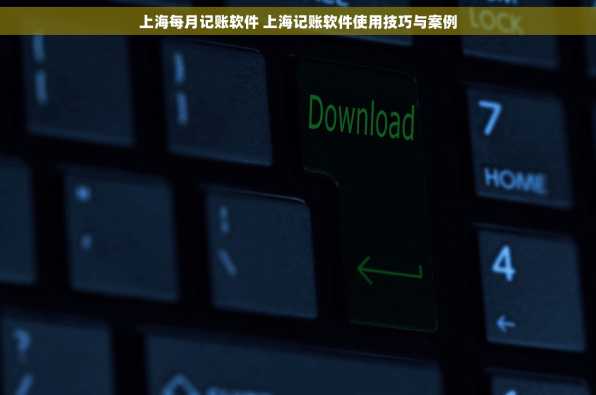 上海每月记账软件 上海记账软件使用技巧与案例