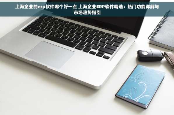 上海企业的erp软件哪个好一点 上海企业ERP软件精选：热门功能详解与市场趋势指引