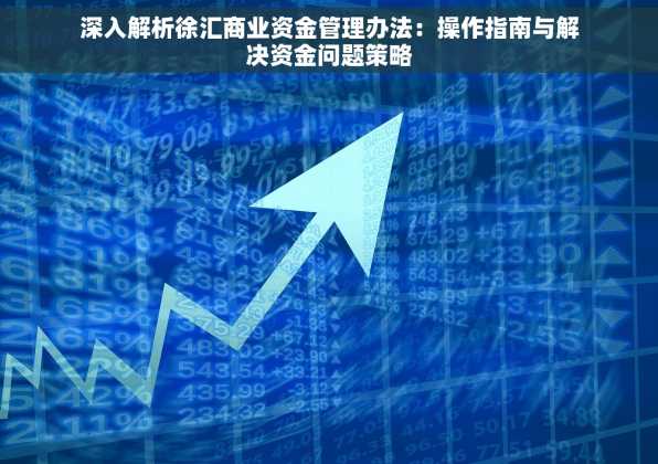 深入解析徐汇商业资金管理办法：操作指南与解决资金问题策略