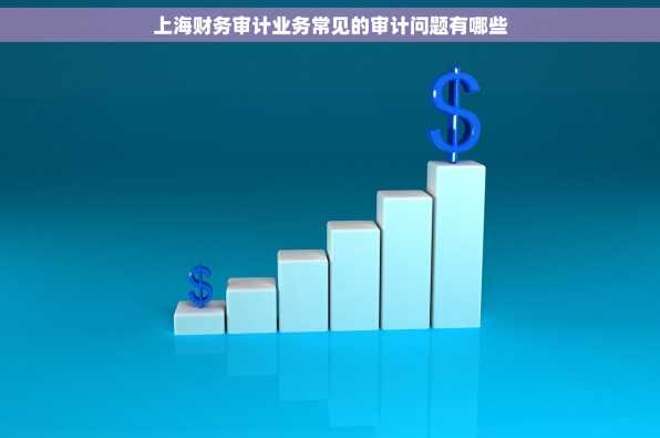 上海财务审计业务常见的审计问题有哪些