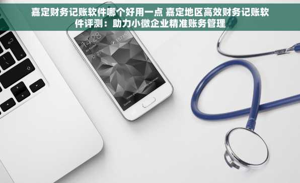 嘉定财务记账软件哪个好用一点 嘉定地区高效财务记账软件评测：助力小微企业精准账务管理