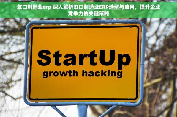 虹口制造业erp 深入解析虹口制造业ERP选型与应用，提升企业竞争力的关键策略