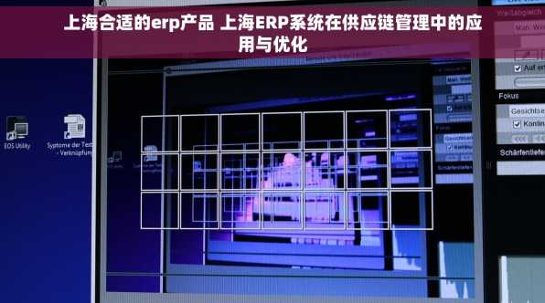 上海合适的erp产品 上海ERP系统在供应链管理中的应用与优化