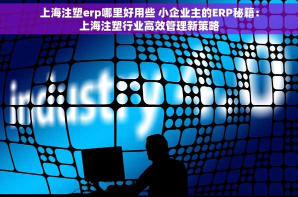 上海注塑erp哪里好用些 小企业主的ERP秘籍：上海注塑行业高效管理新策略