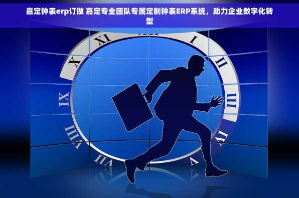 嘉定钟表erp订做 嘉定专业团队专属定制钟表ERP系统，助力企业数字化转型