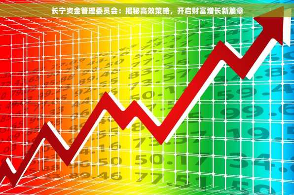 长宁资金管理委员会：揭秘高效策略，开启财富增长新篇章
