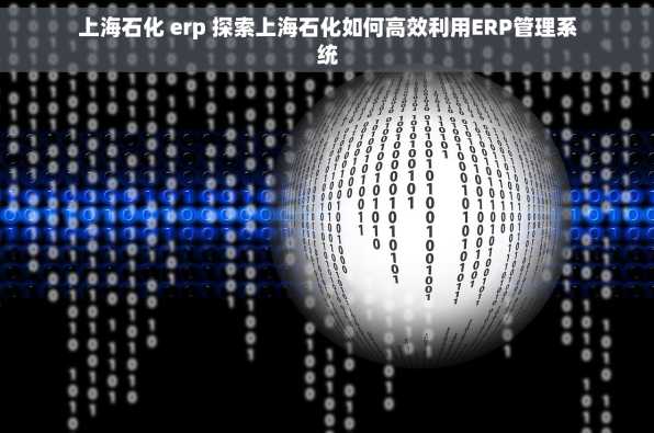 上海石化 erp 探索上海石化如何高效利用ERP管理系统