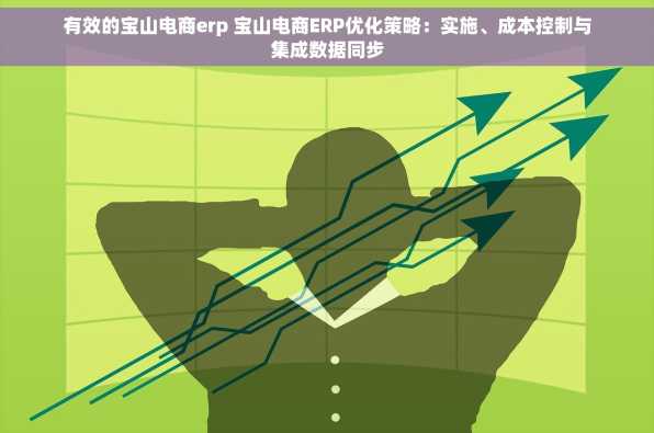 有效的宝山电商erp 宝山电商ERP优化策略：实施、成本控制与集成数据同步