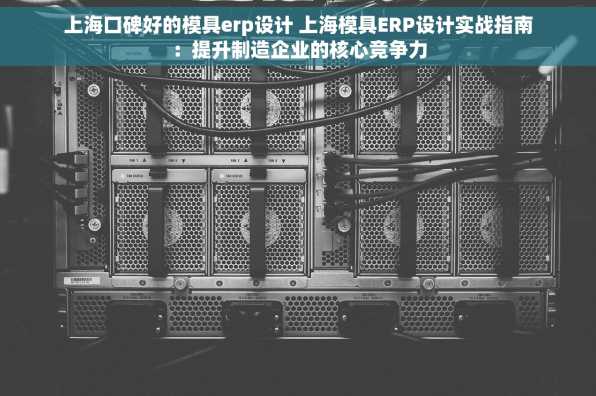 上海口碑好的模具erp设计 上海模具ERP设计实战指南：提升制造企业的核心竞争力