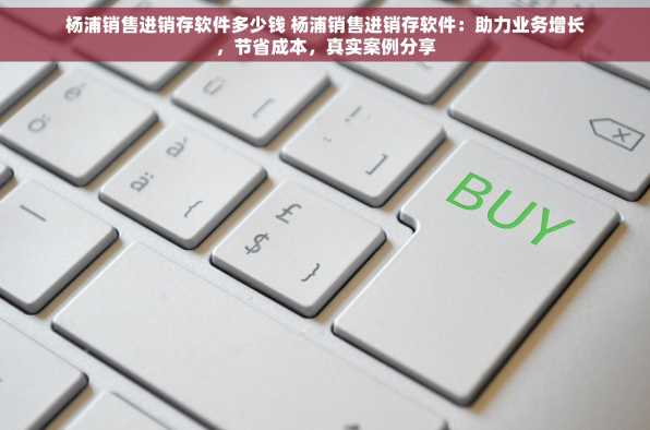 杨浦销售进销存软件多少钱 杨浦销售进销存软件：助力业务增长，节省成本，真实案例分享