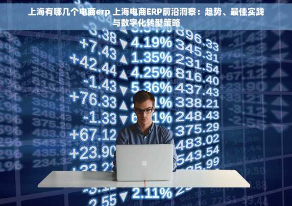 上海有哪几个电商erp 上海电商ERP前沿洞察：趋势、最佳实践与数字化转型策略