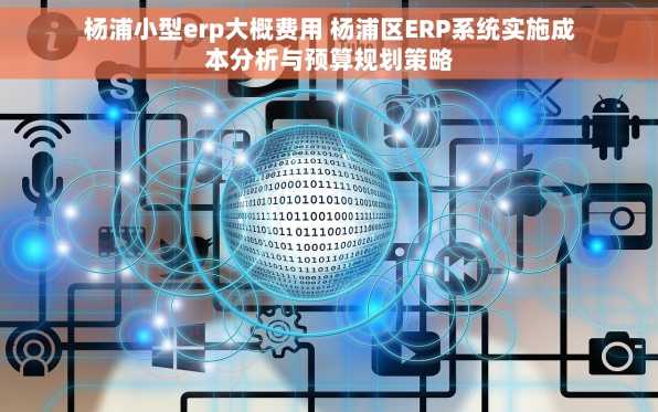 杨浦小型erp大概费用 杨浦区ERP系统实施成本分析与预算规划策略