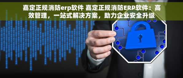 嘉定正规消防erp软件 嘉定正规消防ERP软件：高效管理，一站式解决方案，助力企业安全升级