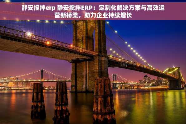 静安搅拌erp 静安搅拌ERP：定制化解决方案与高效运营新桥梁，助力企业持续增长