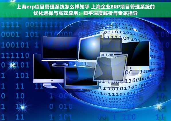上海erp项目管理系统怎么样知乎 上海企业ERP项目管理系统的优化选择与高效应用：知乎深度解析与专家指导