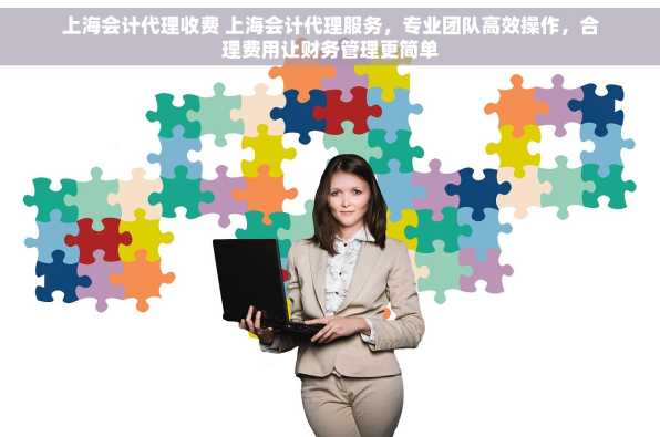 上海会计代理收费 上海会计代理服务，专业团队高效操作，合理费用让财务管理更简单