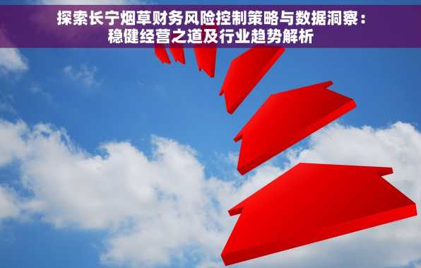 探索长宁烟草财务风险控制策略与数据洞察：稳健经营之道及行业趋势解析