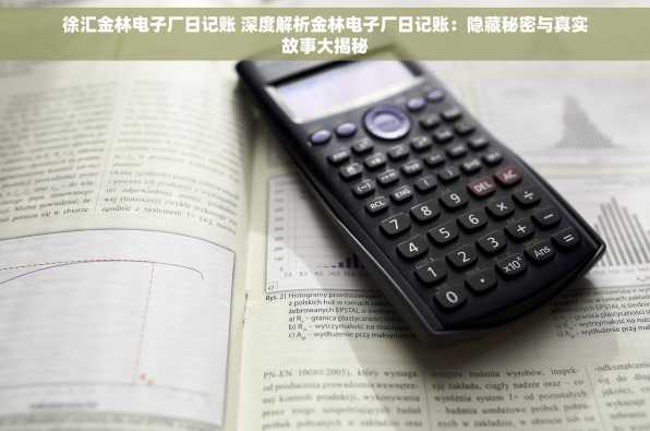 徐汇金林电子厂日记账 深度解析金林电子厂日记账：隐藏秘密与真实故事大揭秘