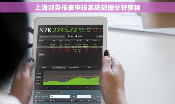 上海财务报表申报系统数据分析教程