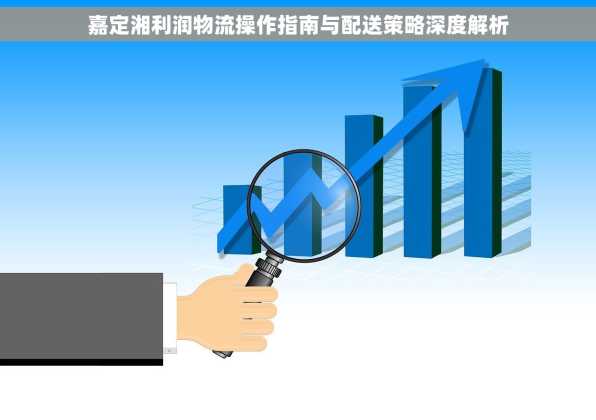 嘉定湘利润物流操作指南与配送策略深度解析