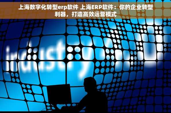 上海数字化转型erp软件 上海ERP软件：你的企业转型利器，打造高效运营模式