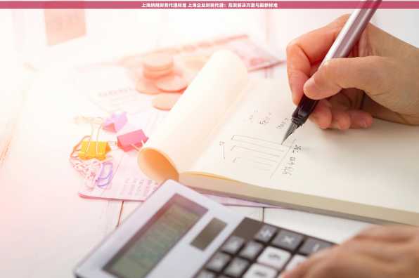 上海纳税财务代理标准 上海企业财税代理：高效解决方案与最新标准