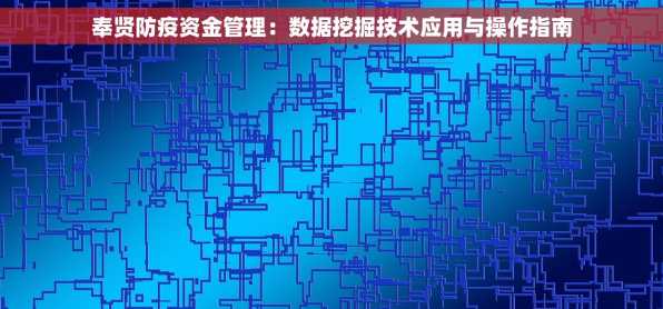奉贤防疫资金管理：数据挖掘技术应用与操作指南