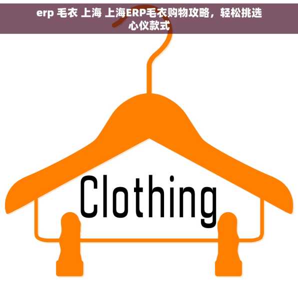 erp 毛衣 上海 上海ERP毛衣购物攻略，轻松挑选心仪款式