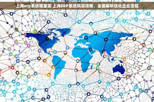 上海erp系统哪里买 上海ERP系统购买攻略，全面解析优化企业流程