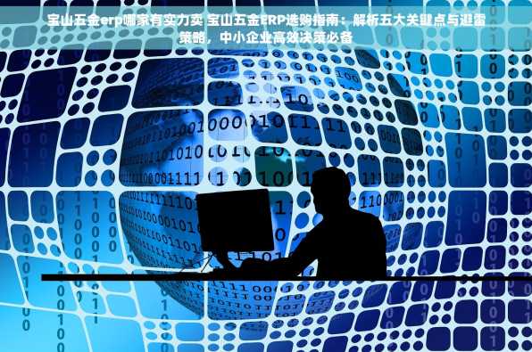 宝山五金erp哪家有实力卖 宝山五金ERP选购指南：解析五大关键点与避雷策略，中小企业高效决策必备