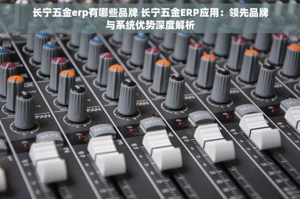 长宁五金erp有哪些品牌 长宁五金ERP应用：领先品牌与系统优势深度解析