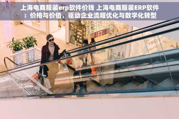 上海电商服装erp软件价钱 上海电商服装ERP软件：价格与价值，驱动企业流程优化与数字化转型
