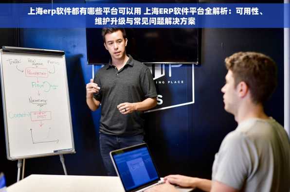上海erp软件都有哪些平台可以用 上海ERP软件平台全解析：可用性、维护升级与常见问题解决方案