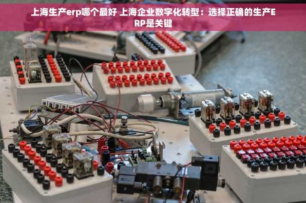 上海生产erp哪个最好 上海企业数字化转型：选择正确的生产ERP是关键