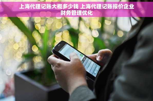 上海代理记账大概多少钱 上海代理记账报价企业财务管理优化