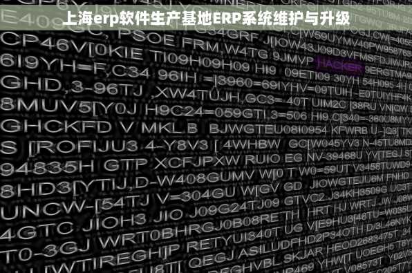 上海erp软件生产基地ERP系统维护与升级