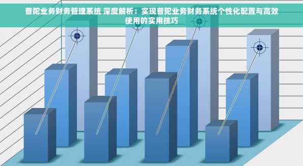 普陀业务财务管理系统 深度解析：实现普陀业务财务系统个性化配置与高效使用的实用技巧