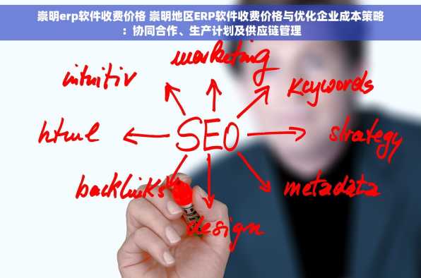崇明erp软件收费价格 崇明地区ERP软件收费价格与优化企业成本策略：协同合作、生产计划及供应链管理