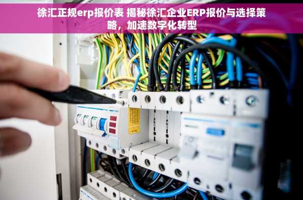 徐汇正规erp报价表 揭秘徐汇企业ERP报价与选择策略，加速数字化转型