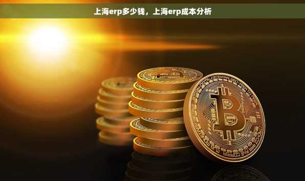上海erp多少钱，上海erp成本分析
