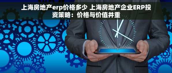 上海房地产erp价格多少 上海房地产企业ERP投资策略：价格与价值并重