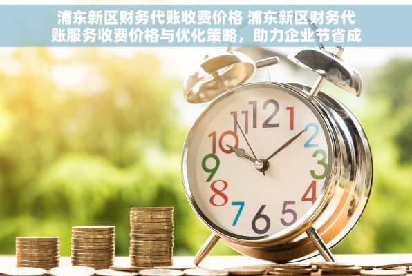 浦东新区财务代账收费价格 浦东新区财务代账服务收费价格与优化策略，助力企业节省成本并提升财务管理效率