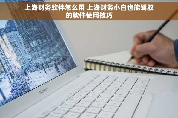 上海财务软件怎么用 上海财务小白也能驾驭的软件使用技巧