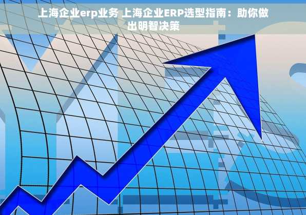 上海企业erp业务 上海企业ERP选型指南：助你做出明智决策