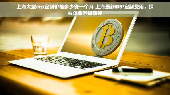 上海大型erp定制价格多少钱一个月 上海最新ERP定制费用，探索企业升级路径